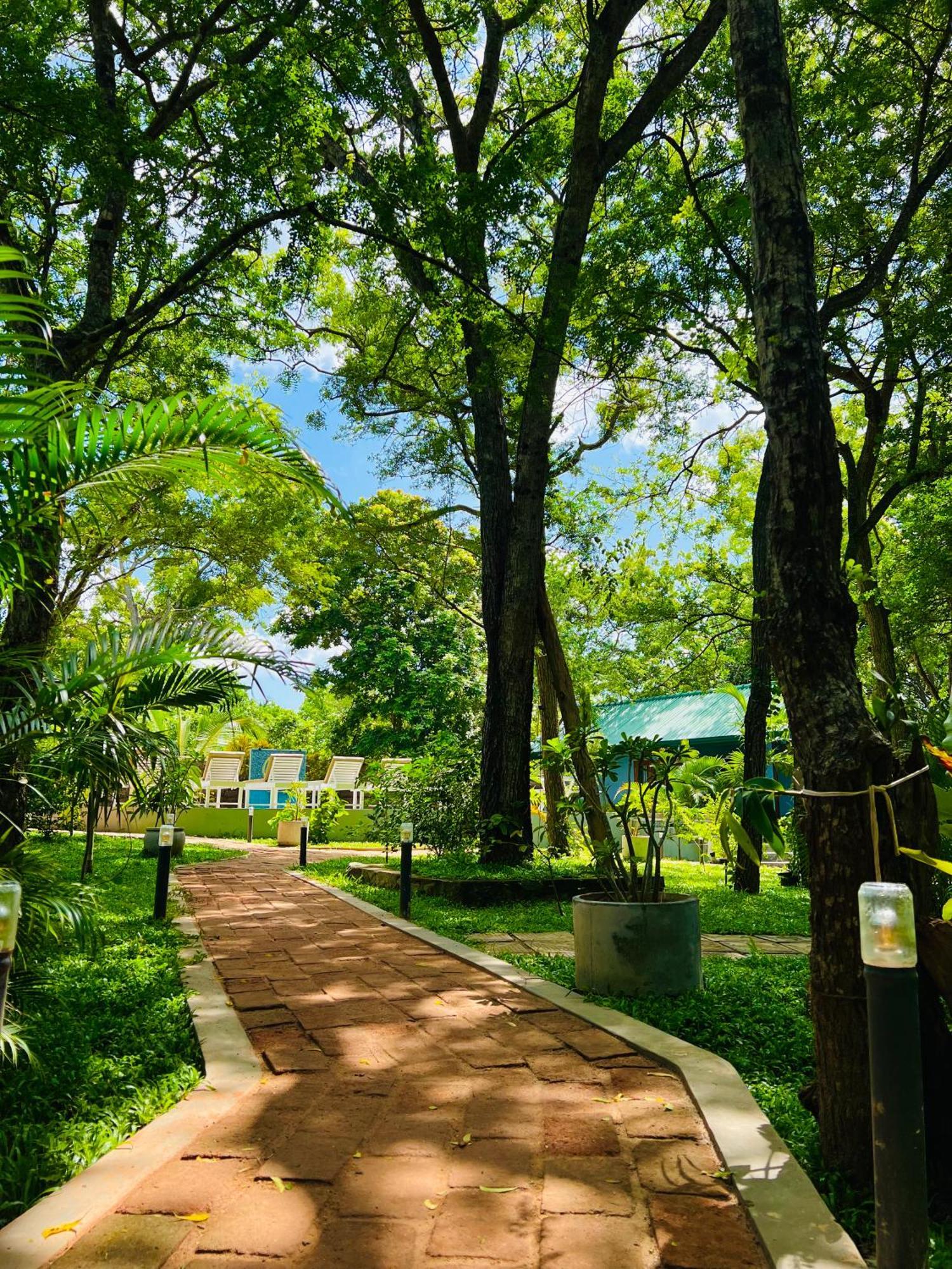 Maritime Nest Cabanas แทนกาลเล ภายนอก รูปภาพ